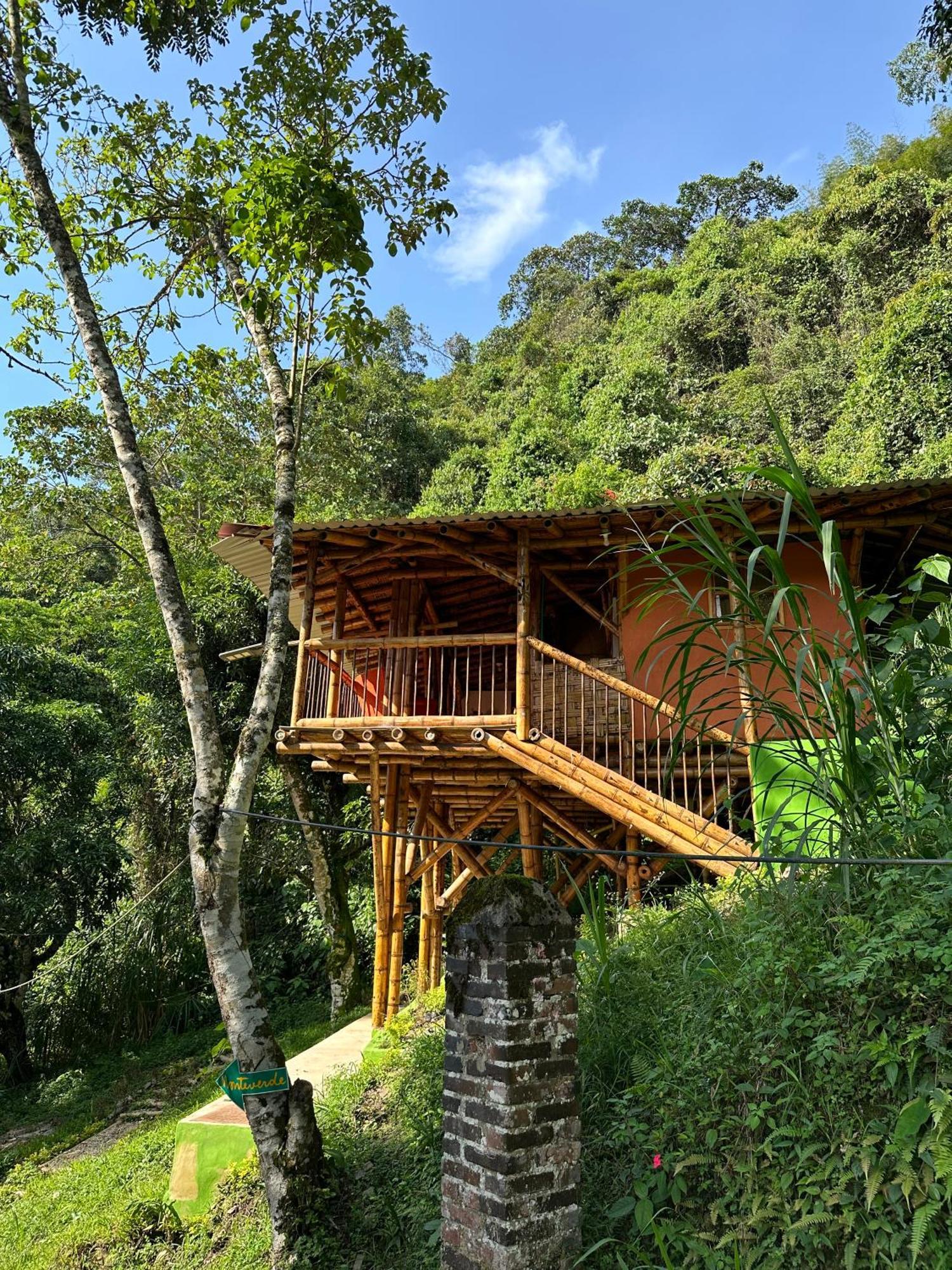 Ecohotel Monteverde La Vega  Exterior photo