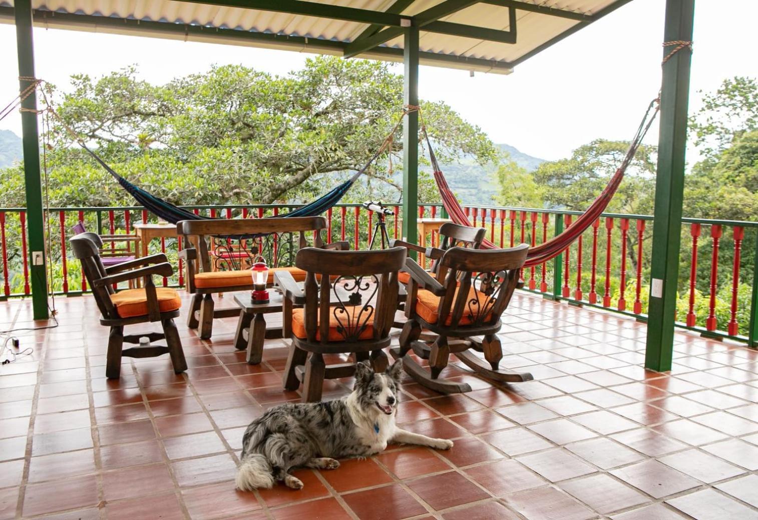 Ecohotel Monteverde La Vega  Exterior photo